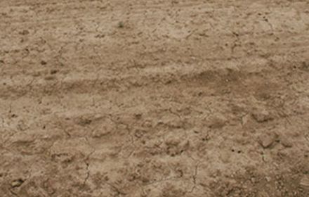 Toutatis® Damtec® + Bastille® : un désherbage complet en un seul passage