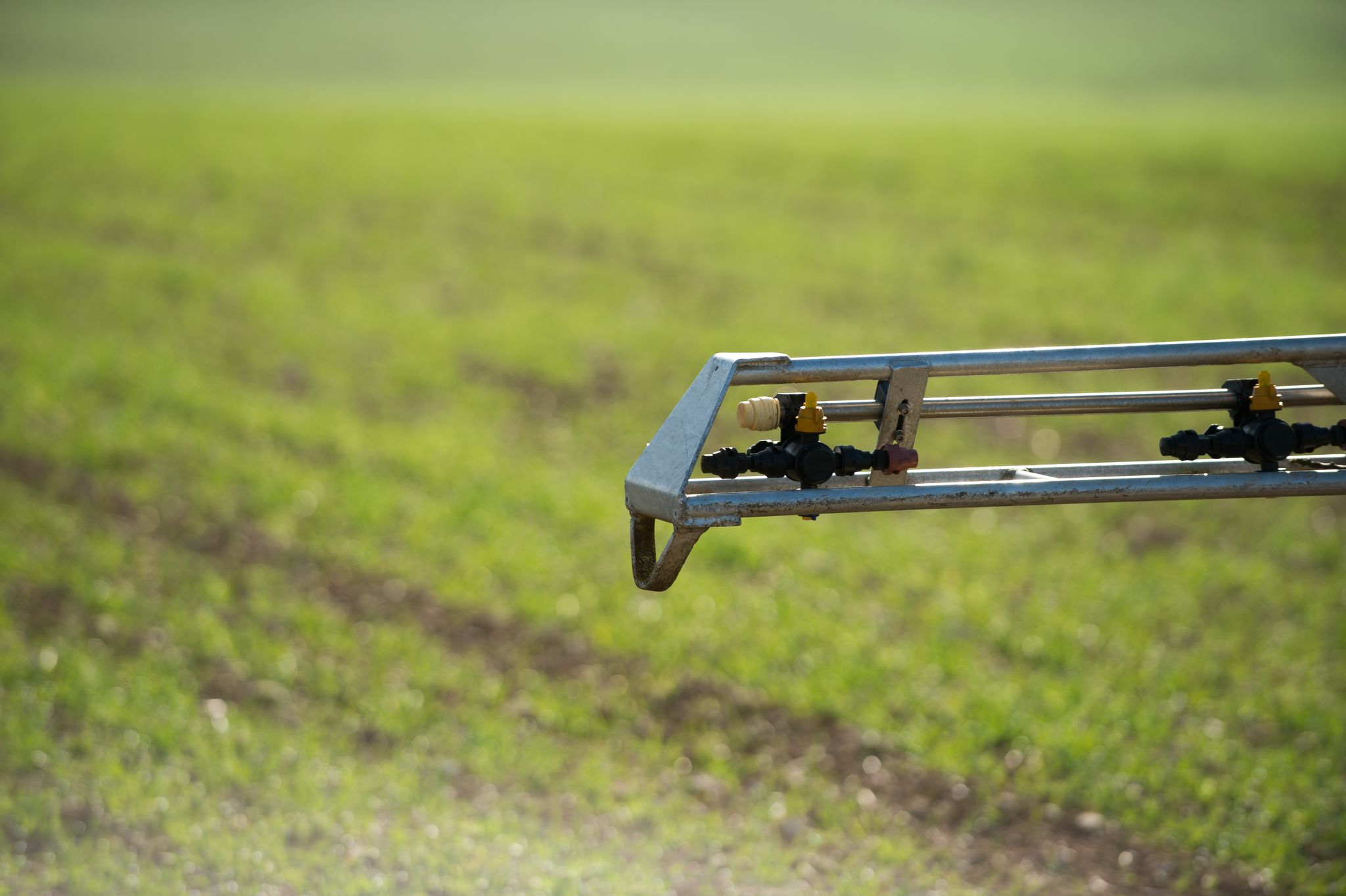 Désherbage d’automne et préservation de l’eau, quelles pratiques mettre en œuvre ?